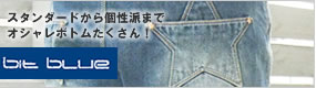 bit blue�ʥӥåȥ֥롼��