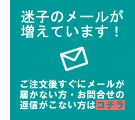 �»ҥ᡼��ˤĤ���