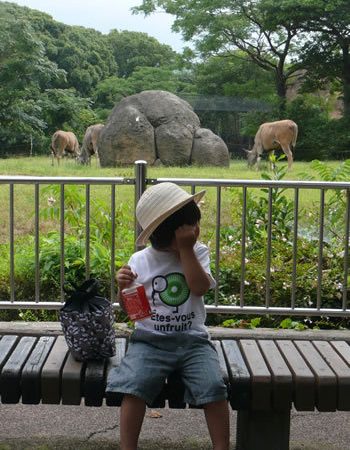動物園に行ってきました！